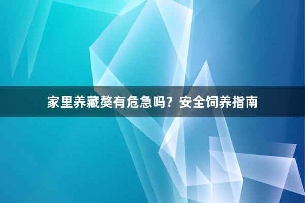 家里养藏獒有危急吗？安全饲养指南