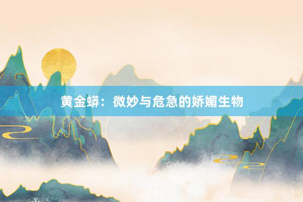 黄金蟒：微妙与危急的娇媚生物