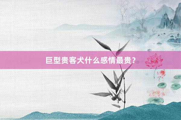 巨型贵客犬什么感情最贵？